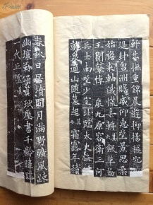 全稱為 大唐故特進(jìn)行右衛(wèi)大將軍兼檢校右羽林軍仗內(nèi)供奉上柱國卞國公贈并州大都督泉君墓志銘